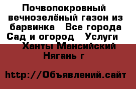 Почвопокровный, вечнозелёный газон из барвинка - Все города Сад и огород » Услуги   . Ханты-Мансийский,Нягань г.